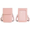 Carry pouch with a transparent window and pocket for Freestyle