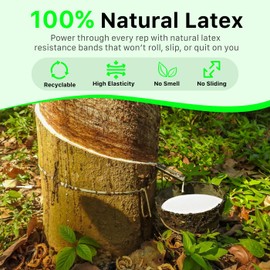 BOOSTFIT Resistance Bands Set – 5 Loop Natural Latex Exercise Bands with Varying Resistance Levels – Includes Carry Bag & Workout Guide