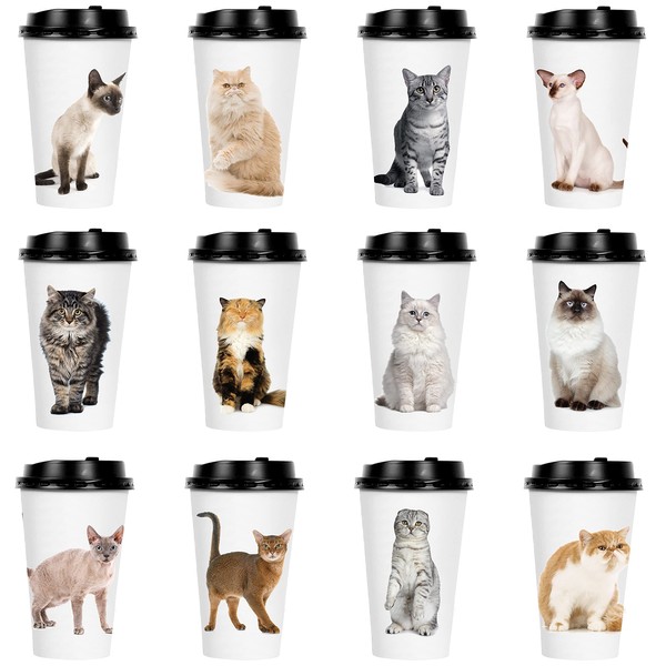 Youngever 72 Sets Disposable Coffee Cups with Lids, To Go Hot Coffee Cups, Durable Paper Cups with Lids (Cat Kitten Theme Design)
