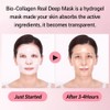 Bee & Beauty Bio Collagen Overnight Mask Pack Of 15