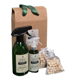 Cypress Hyoyeon Phytoncide Indoor Car Textile Deodorizer Cypress Water Return Gift Gift Set Cypress water (500ml+300ml) + Cypress cube (1 unit)