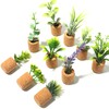 Joyibay Plant Fridge Magnets Mini Succulent Magnets Artificial Plants Refrigerator