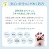 cocomofu Pet Shampoo, Dog, Fluffy, Foam, One Push, Hypoallergenic, Small