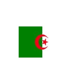 Algeria Flag, 6' x 10', Outdoor, Nylon