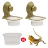 2 Pack Reptile Feeder Gecko Lizard Feeding Cup with Suction