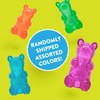 Spunky pup Spunky Bear Interactive Squeaky Dog Toys - Gummy