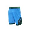 DIOTSR Men's Basketball Shorts, Athletic Graphic Mesh Shorts (Forest-Blue, Medium)