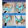 Kkiimatt Pet Grooming Hammock Harness, Dog Grooming Hammock Small Dogs,