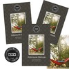 Bridgewater Scented Sachet - Afternoon Retreat - Pack of 3