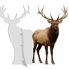 Elk 3FT Life Size Cardboard Cutout – A Fun Animal