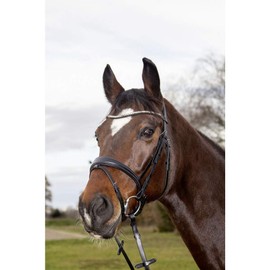 HKM Melinda Bridle Black Pony
