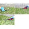 Kinboshi 2109 Stainless Steel Made Rotating Lawn Shears