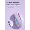holy sword M800 Single-Mode Wireless Battery Level Display Mouse, 2.4G