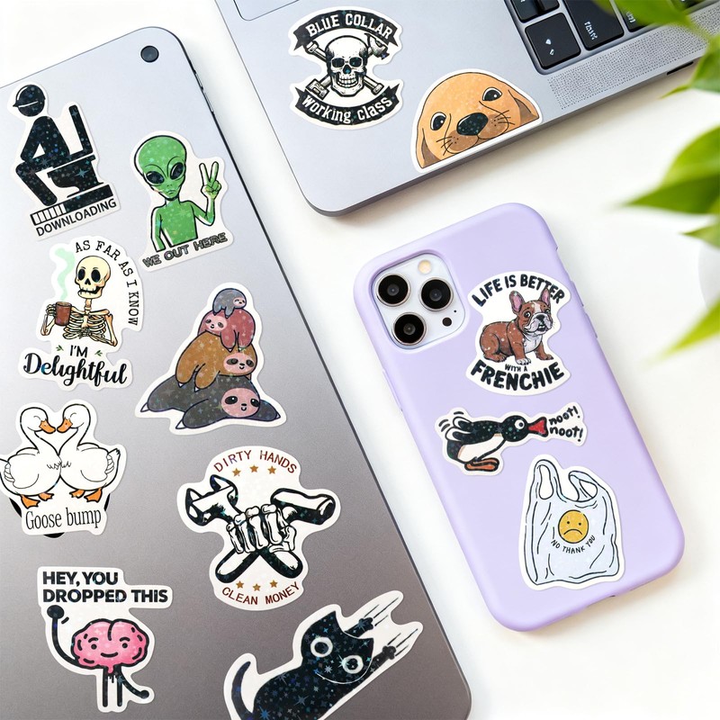 ELZO 300 Pcs Holographic Funny Stickers for Adults Pack -
