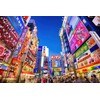 Evening In Akihabara Japan Puzzle For Adults And Kids |