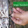 Saw Chains SWS Forestry, Chainsaw Replacement Chain