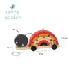 Ladybird Stacking Pull Along Toy - Animal Push and Pull