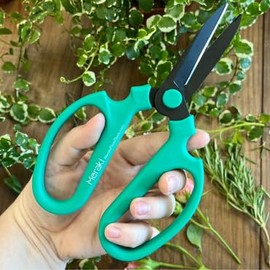 Meraki Floral Tools Garden Pruning Shears Scissors Carbon Steel Blades 7.6 Inch, Echinops - Teal