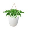 COLLBATH 2 Pcs Indoor Planter with Ceramic Pots and Rope