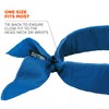 Ergodyne - 12399 Chill-Its 6702 Cooling Bandana, Evaporative Polymer Embedded