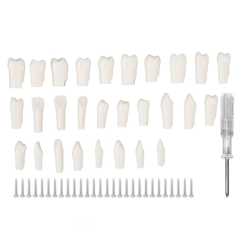 28Pcs Removable Teeth Piece Durable Plastic Removable Design False Teeth