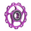 Saycker Bicycle Tensioner, Bike Chain Tensioner, Aluminum Alloy Adjustable Chain