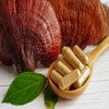B17 Herbs Red Reishi Extract 4:1 - Dual Extracted -