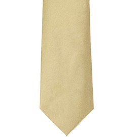 tiemart Solid Color Necktie (Sparkling Champagne)