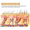 Laser Hair Growth Comb Anti Hair Loss Massager Hair Regrowth