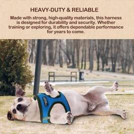 Murphy & Roxy No-Pull Dog Harness – Adjustable Vest Harness with Reflective Trim for Small to Medium Dog Breeds – Heavy-Duty and Comfortable for Walking, Training for Pets, Blue (Size XL)