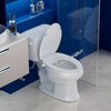 Elongated Heated Toilet Seat with Night Light, Three Temperature Settings