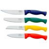 Chicago Cutlery 4-Piece Colored Paring Knife Set