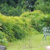 Arcadia Garden Products TR03 Arched Garden Trellis 6' x 10",