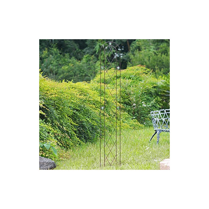 Arcadia Garden Products TR03 Arched Garden Trellis 6' x 10",