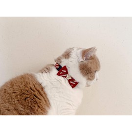 Necoichi Regal Crown Cat Collar (Red)