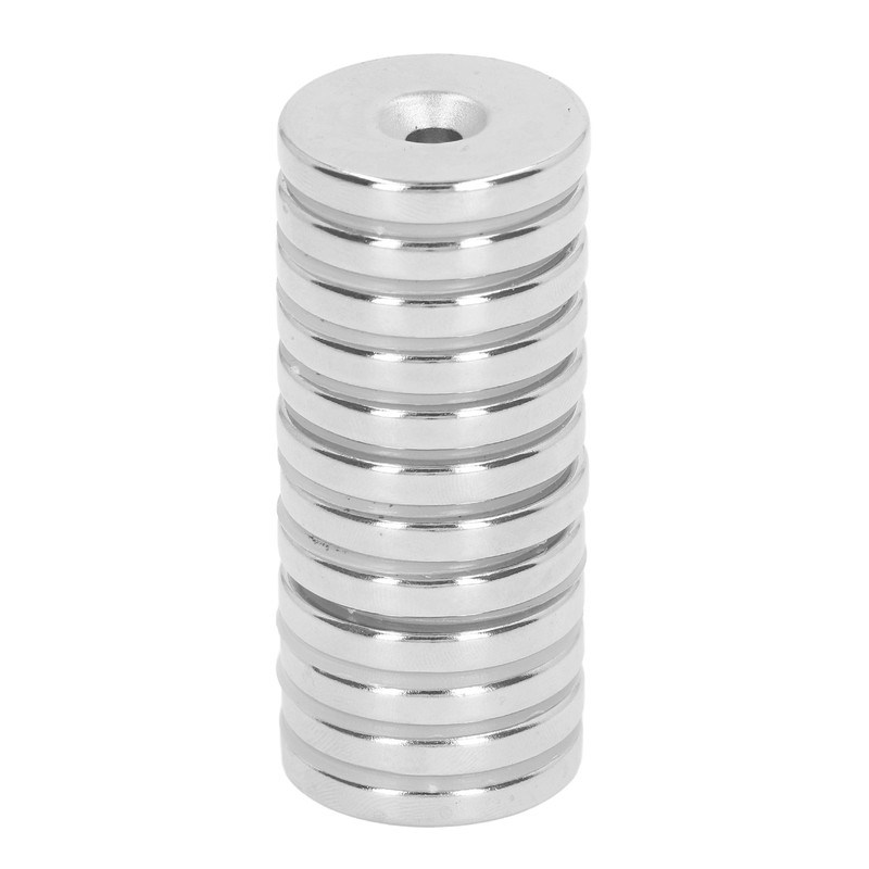 12 Pcs Neodymium Magnet 30x5mm Heavy Duty Strong Magnetism Round