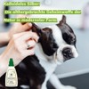 TraumaPet Ear Drops Colloidal Silver for Dogs and Cats 50