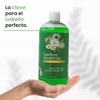 Shampoo Con Extracto De Hierbas Silvestres Productos Mart Mexico 500