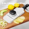 ZHANG XIAO QUAN SINCE 1628 Handheld Mandoline Slicer 3-in-1, Veggie