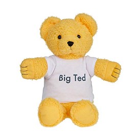 PLAYSCHOOL AP3002 Big TED Plush Figures,White