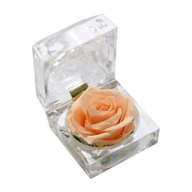 NOLITOY Preserved Flower Box, Single Rose Never Withered Bixes Preserved Rose for Wedding Decoration Birthday