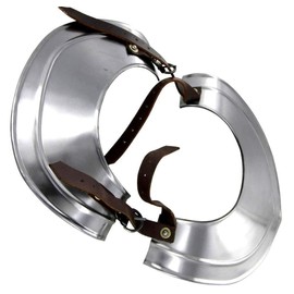 THOR INSTRUMENTS Armor Medieval 18 Gauge Steel Plate Armor Gorget Classic H Neck Protector SCA LARP Rustic Vintage Home Decor Gifts