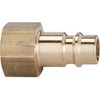 Schlauchnippel / NW 7.2-NW, 7.8 Untreated Brass Internal Thread 1