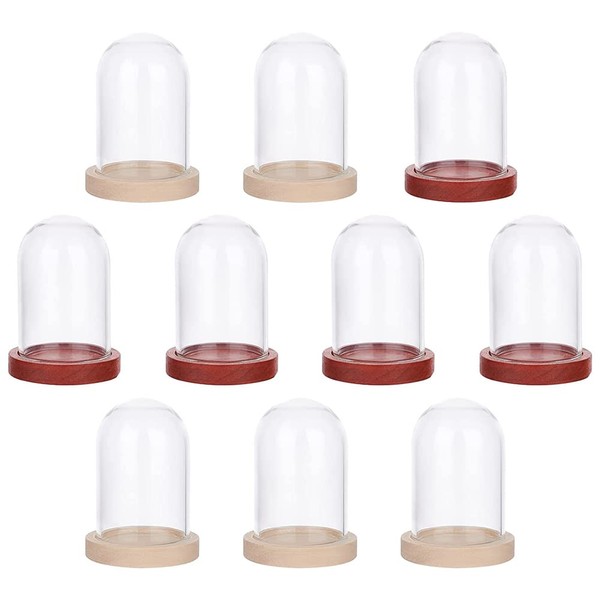 NBEADS 10 Sets Mini Eternal Flower Glass Dome Cloche, Clear Glass Display Case with 2 Colors Wooden Base Bell Jar Cloche for Valentine's Day Flower Decorations Crafts, 1.6x1