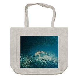 Ambesonne Sea Animals Shopping Bag, Shark and Small Fish Ocean Wilderness Waterscape Wildlife Nature Theme Picture, Eco-Friendly Reusable Bag for Groceries Beach and More, 15.5" X 14.5", Cream