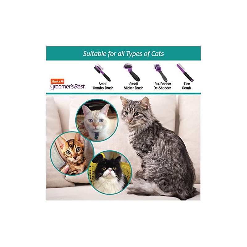 Hartz Cepillo Peluquero Gatos Perros Pequeños