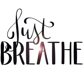 Wall Decals Quotes Just Breathe Decor Stickers Art Vinyl Sticker Stick Bedroom Peel and Stick Living Room Yoga Inspirational Sayings Boho Bathroom Zen Black Removable z5087