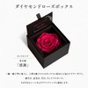 Amorosa AM85FS-12 Preserved Flowers, Diamond Rose Box 85, Hot Pink,