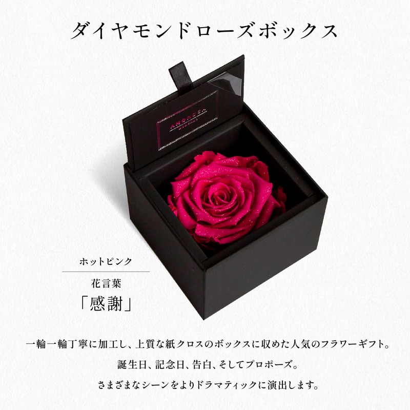 Amorosa AM85FS-12 Preserved Flowers, Diamond Rose Box 85, Hot Pink,