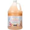 Ginger Lily Farms Botanicals 3-in-1 Shampoo, Conditioner & Body Wash,